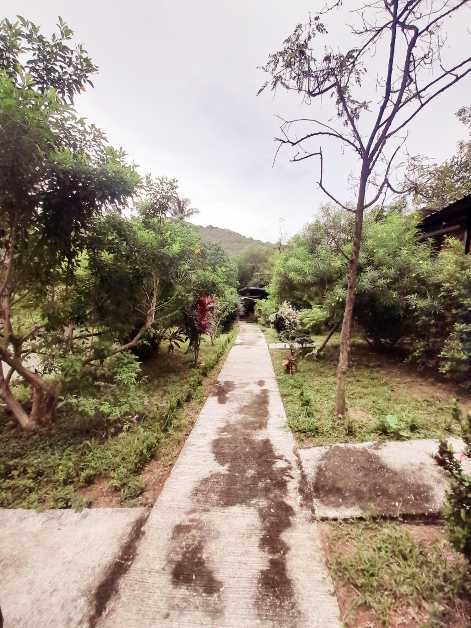 Koh Mook Bamboo Bungalows Eksteriør bilde